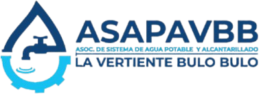 SISTEMA ASAPAVBB logo